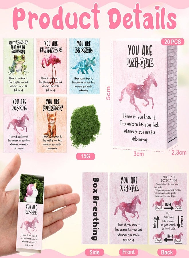 Poen 20 Sets Valentines Day Employee Appreciation Emotional Gifts Bulk Coworker Support Gifts Resin Animals Box Thank You for Teacher Coworkers Staff Office - Image 2